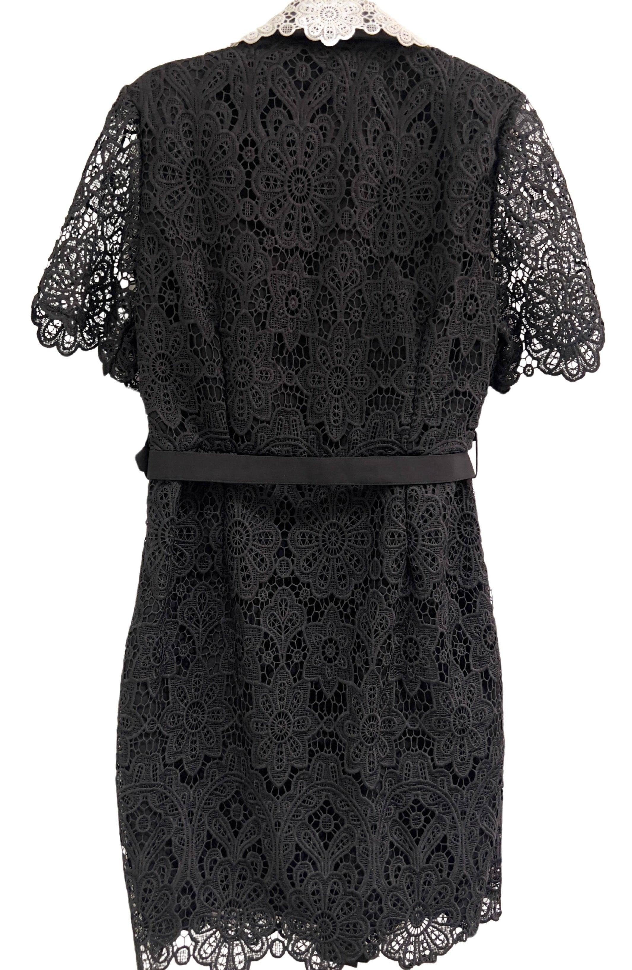 Black Lace Dress With White Lace Collar - BTK COLLECTION