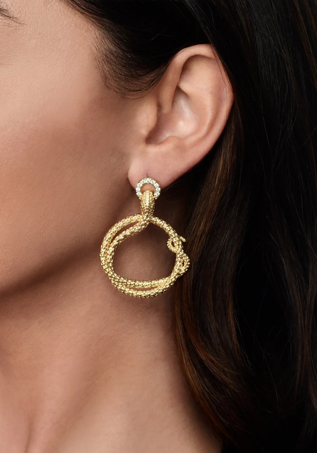 Serpent Holding Ring Hoop Earrings - BTK COLLECTIONS