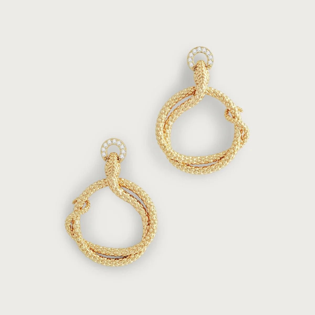 Serpent Holding Ring Hoop Earrings - BTK COLLECTIONS