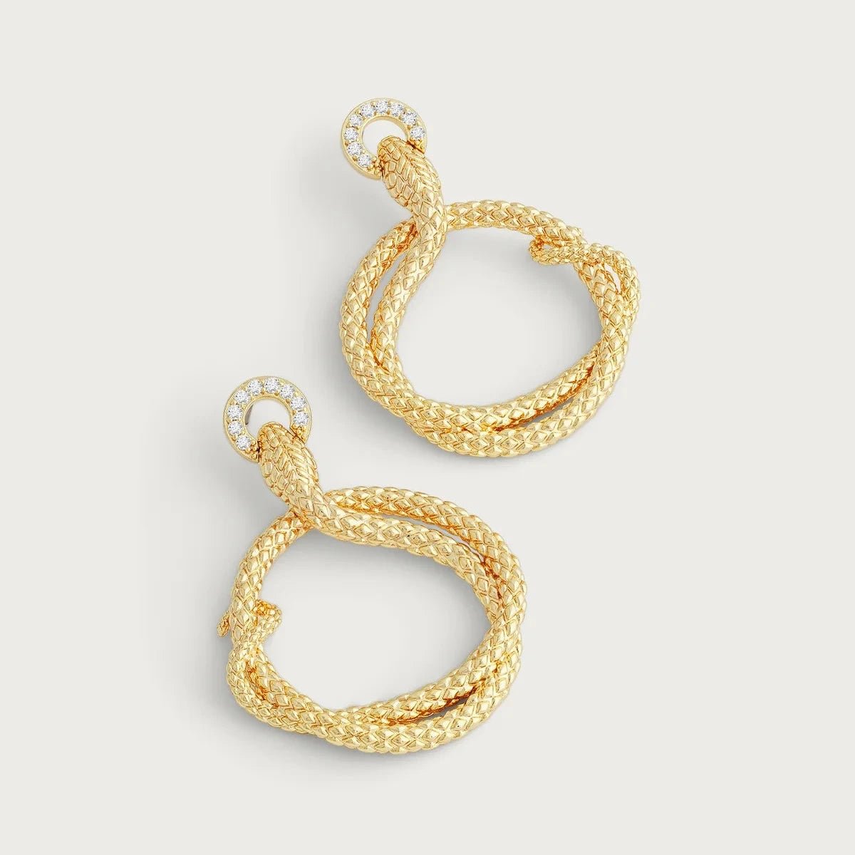 Serpent Holding Ring Hoop Earrings - BTK COLLECTIONS