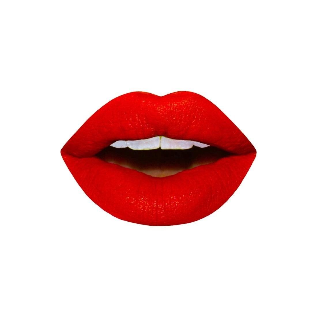Hibiskiss - MAUDIT Liquid Lipstick - BTK COLLECTION